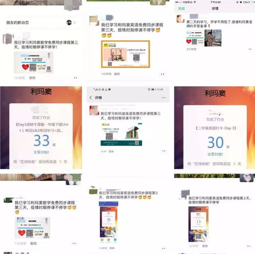 好评刷屏的背后 利玛窦语数外同步课堂，用爱浇灌，用服务说话
